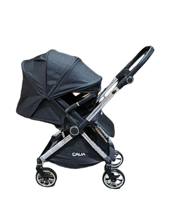 سیسمونی مانی نی