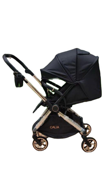 سرویس کالسکه مانی نی