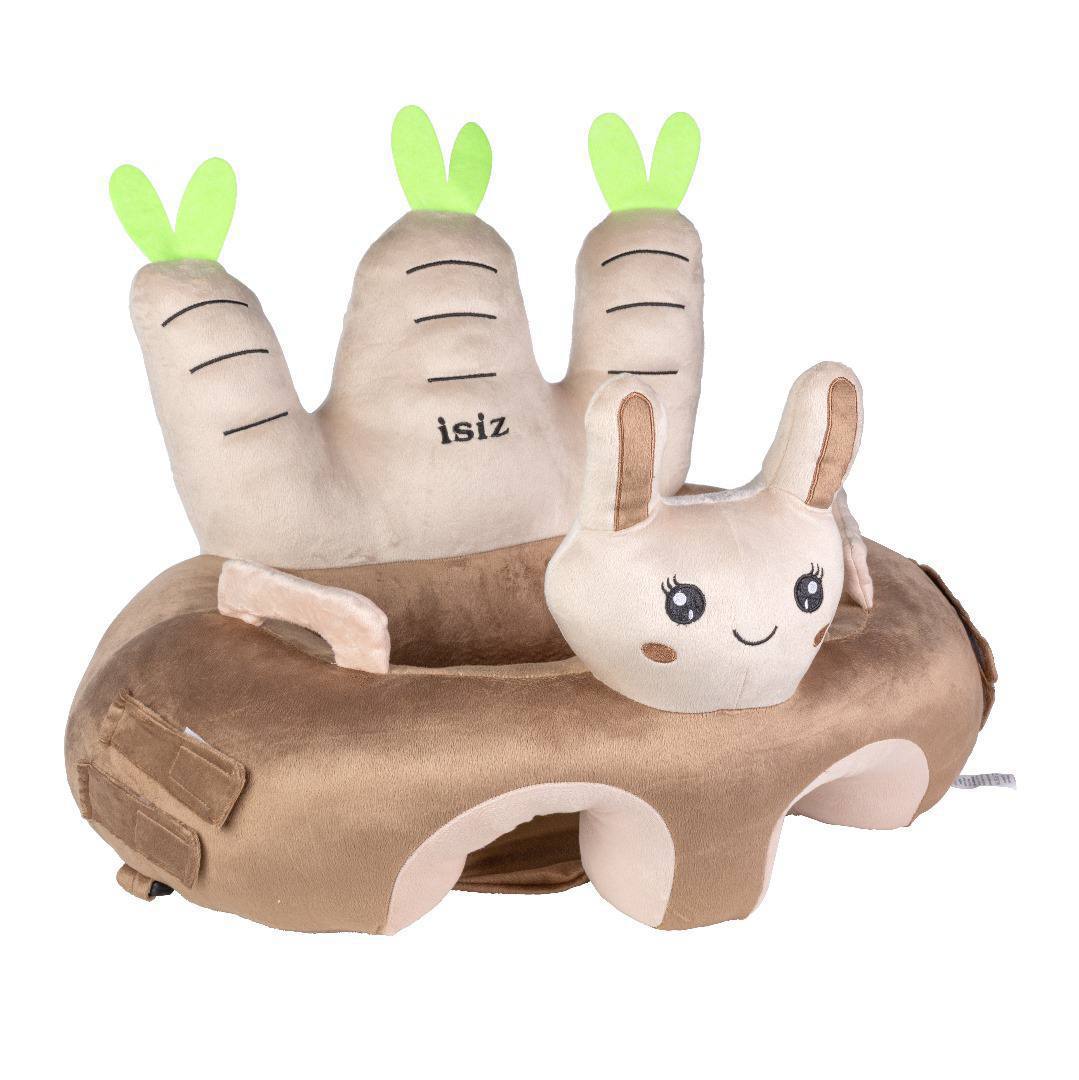 سیسمونی نوزاد