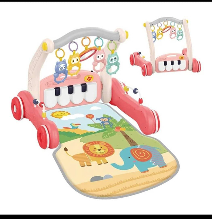 سیسمونی مانی نی