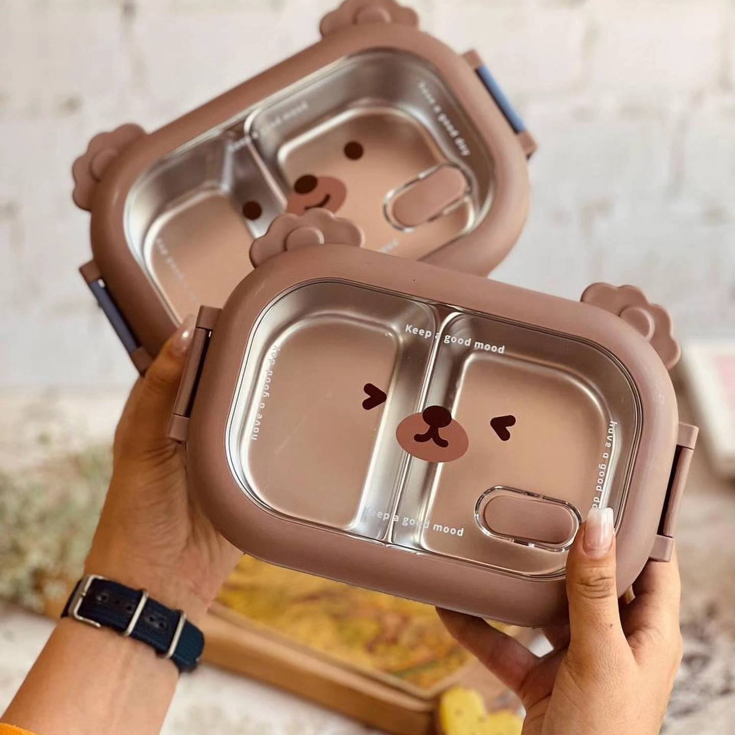 ظرف غذا مانی نی