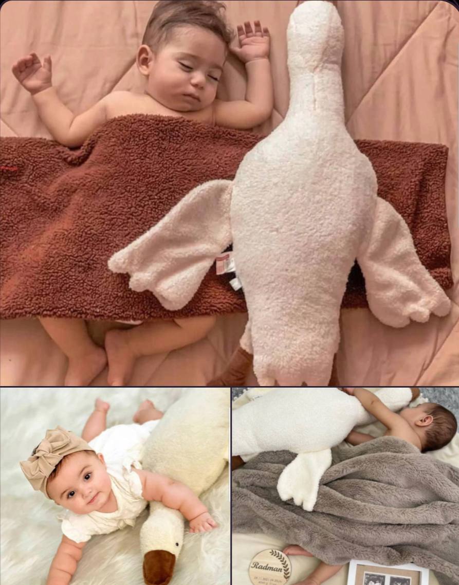 سیسمونی مانی نی