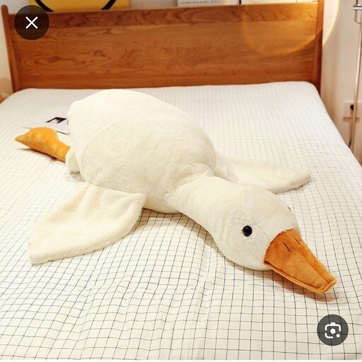 سیسمونی نوزاد مانی نی