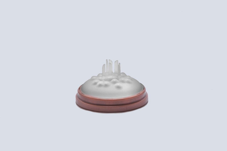شیشه شیر BPA Free نستر 240 میلی لیتر