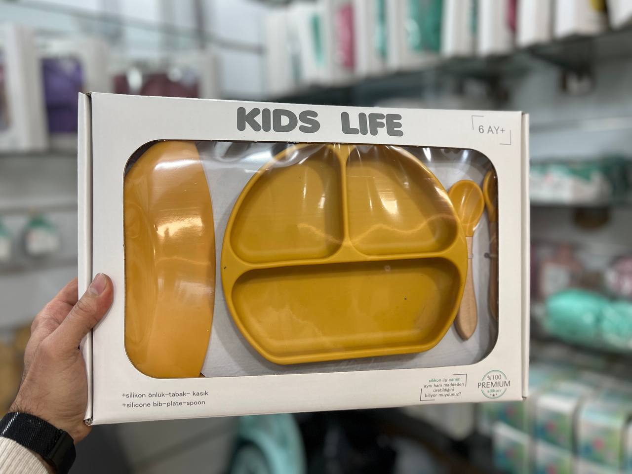 ظرف سیسمونی مانی نی