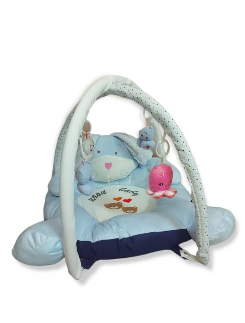 سیسمونی مانی نی