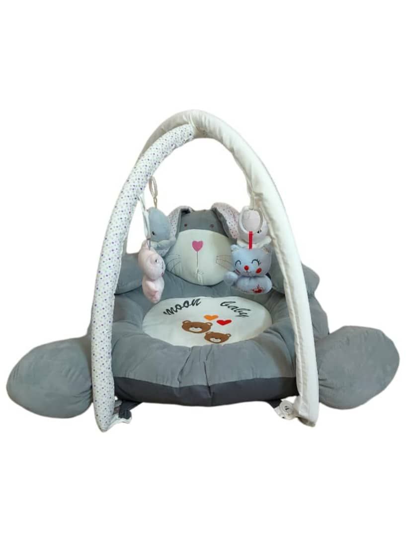 سیسمونی مانی نی