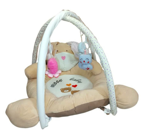 سیسمونی مانی نی