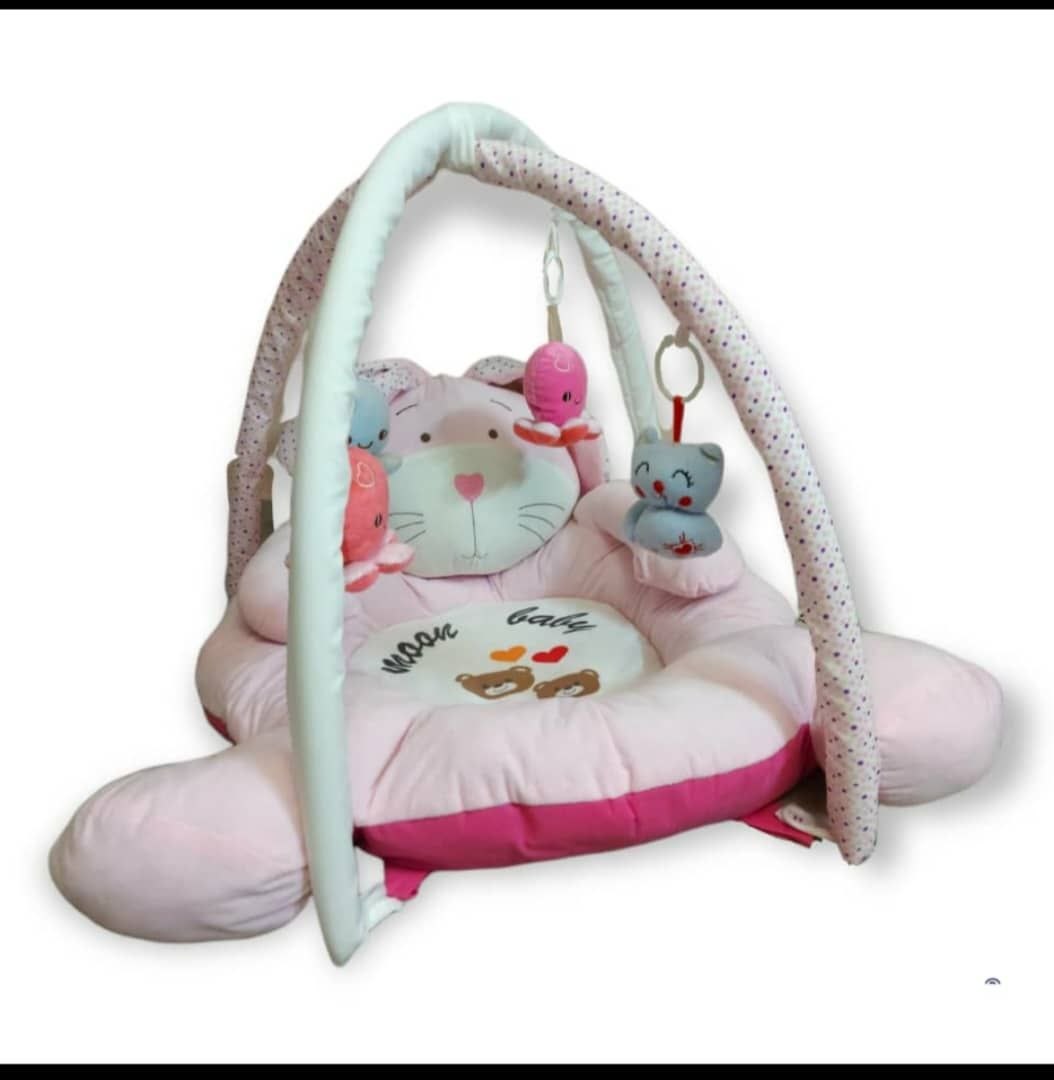 سیسمونی مانی نی