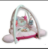 سیسمونی مانی نی