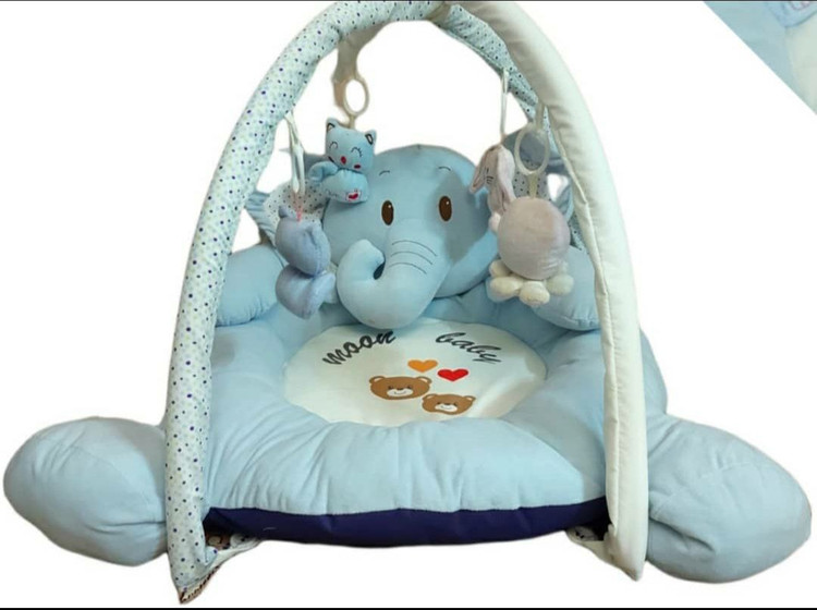 سیسمونی مانی نی