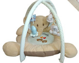 سیسمونی مانی نی