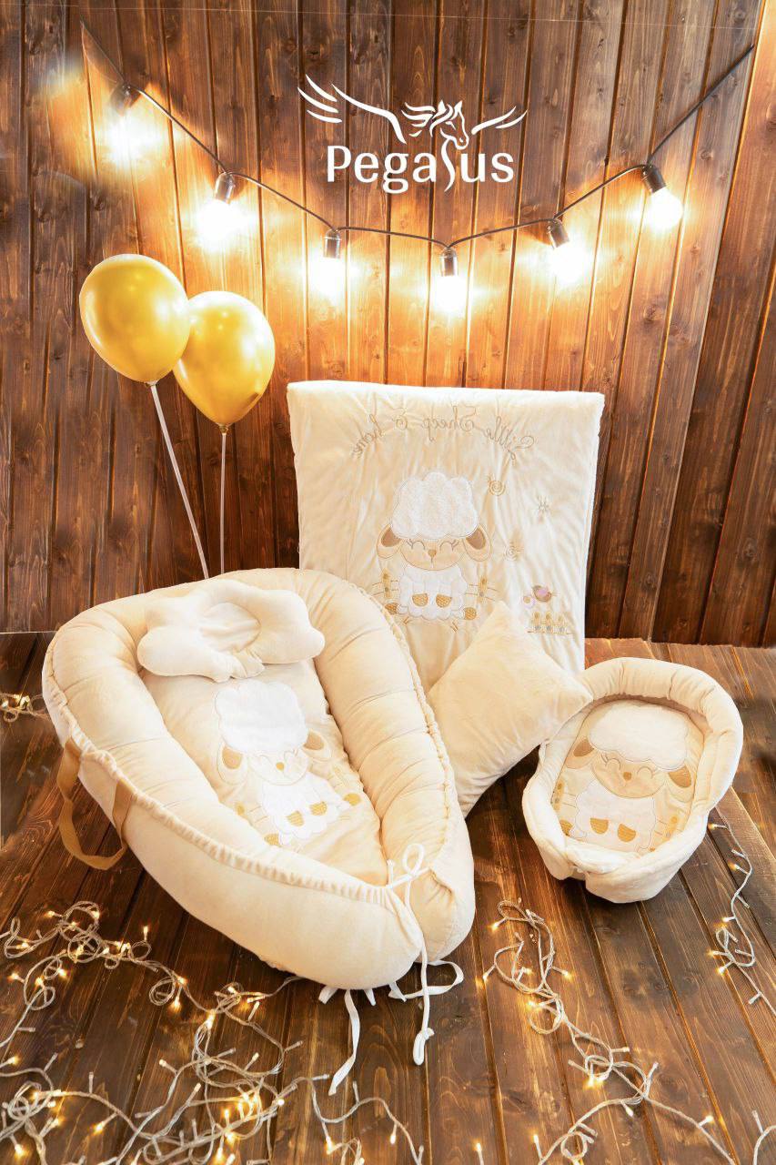 سیسمونی مانی نی