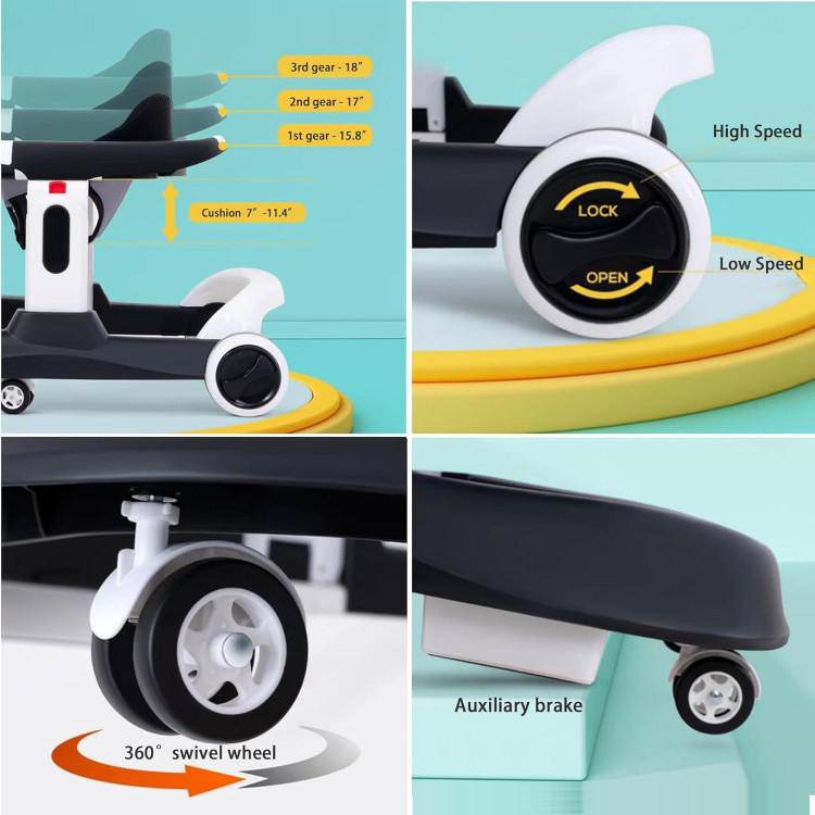 سیسمونی مانی نی روروئک